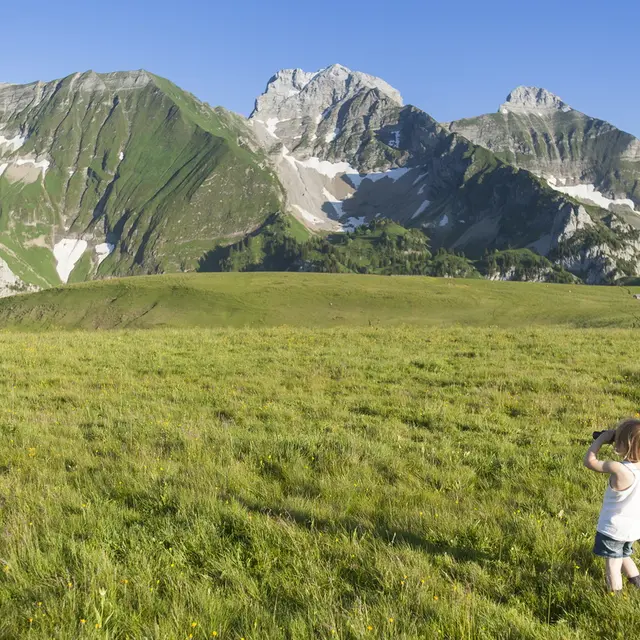 Vue panoramique