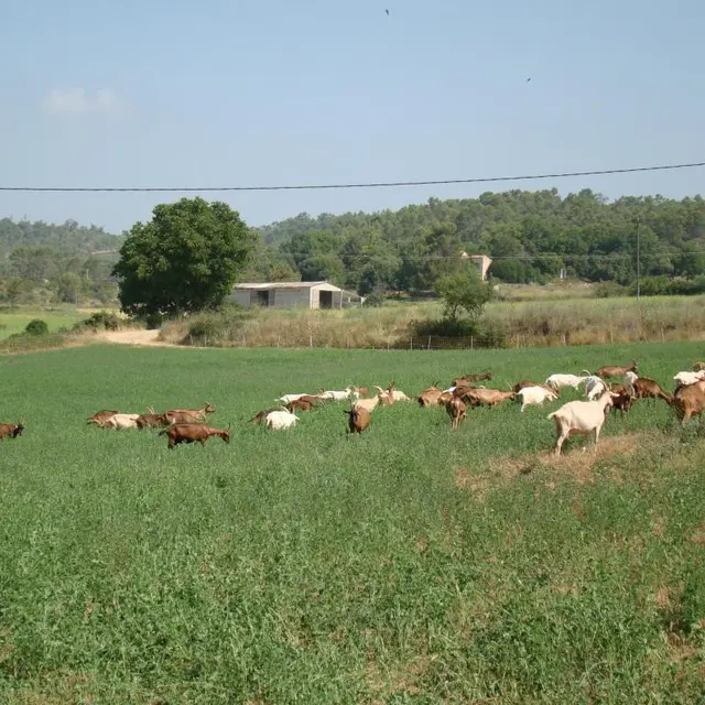 Fromagerie Saint Jaume - Barjols