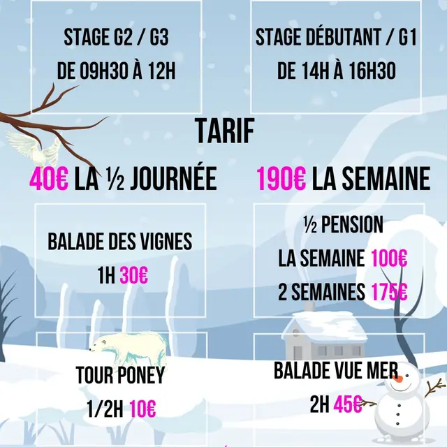 Vacances d'hiver aux écuries de la Cibonne_Le Pradet