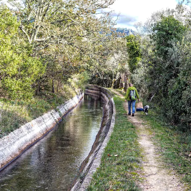 canal siagne