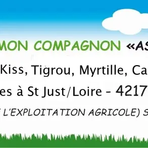 Lâne mon compagnon
