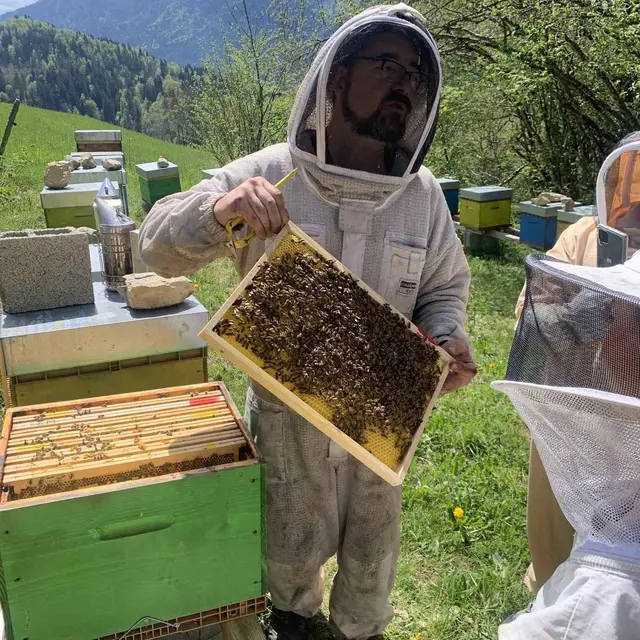 Entremonts et Abeilles - St Pierre d'Entremont
