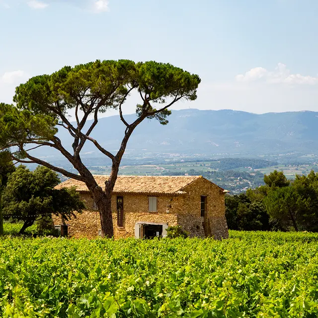 Domaine Les Perpetus