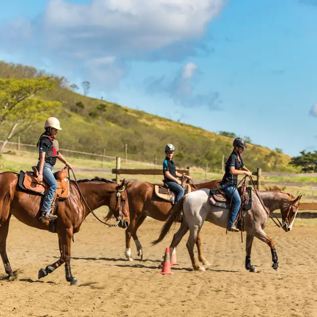 Lasbleiz Western Training