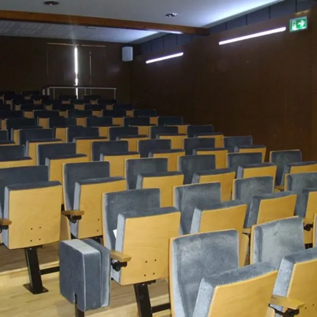 Auditorium de Genyer