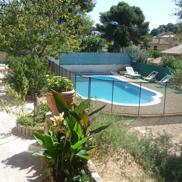 terrain boule/piscine