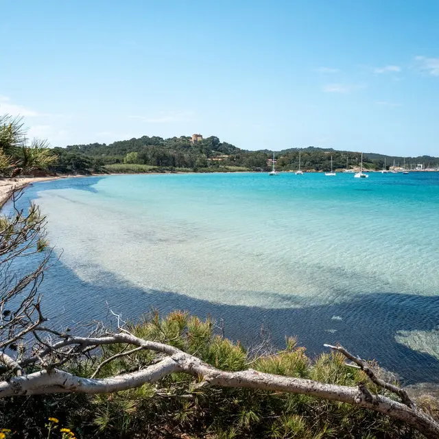 Plage de la Courtade_Hyères