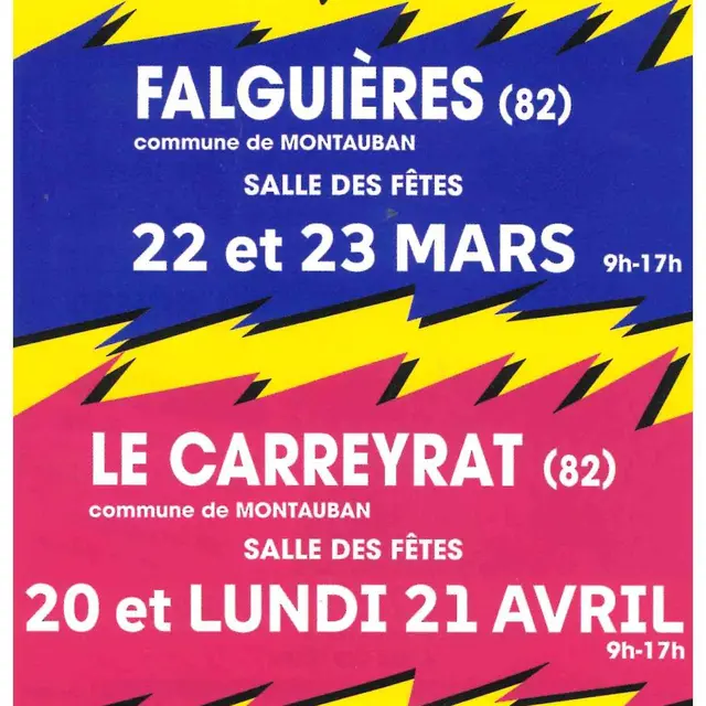 Vide-Greniers à Falguières_Montauban