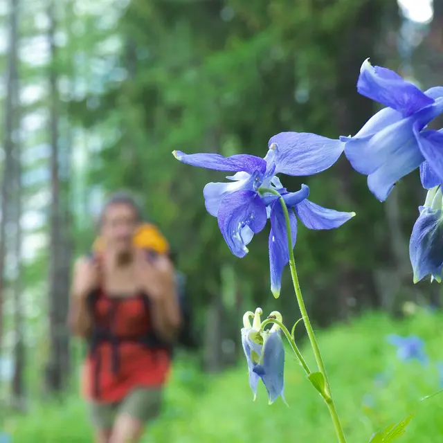 Montée du Val d'Escreins_Guillestre