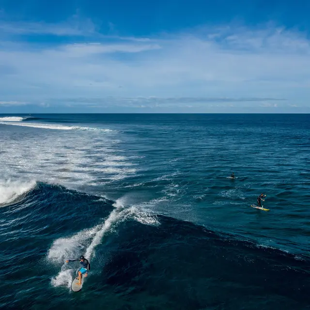 Jackaroo surf camp