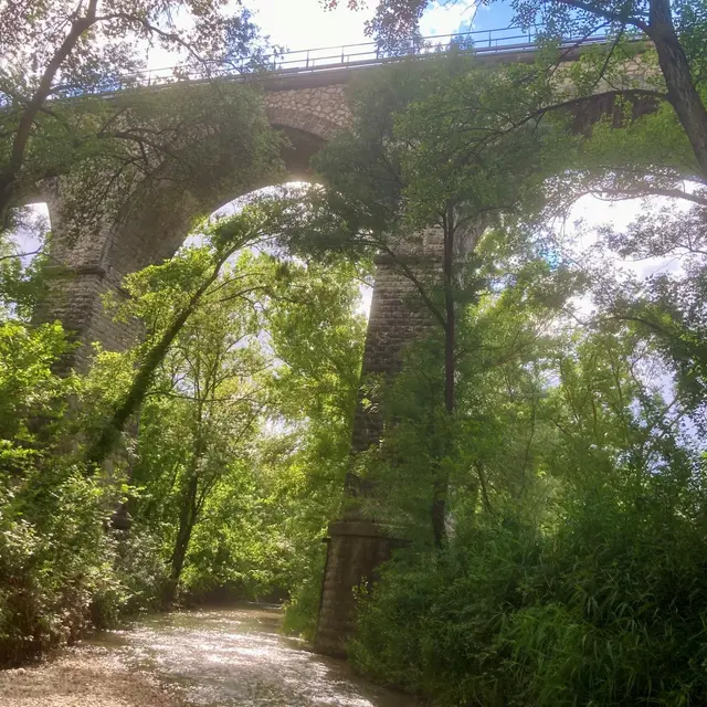 Cezanne au fil de l’eau_Aix-en-Provence
