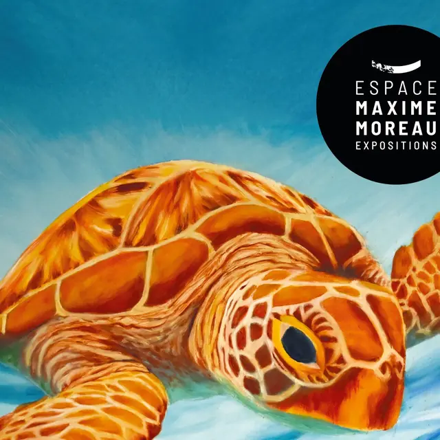 Exposition Philippe Leborne_Sainte-Maxime