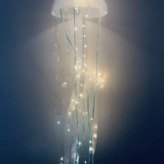 La danse des méduses_Villages du lac de Paladru