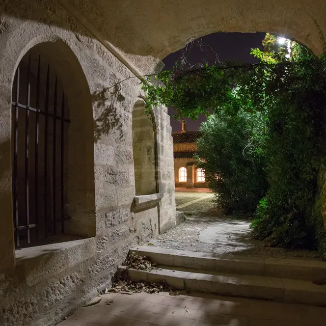 Nuit Internationale de la Chauve-souris_Villeneuve-lez-Avignon