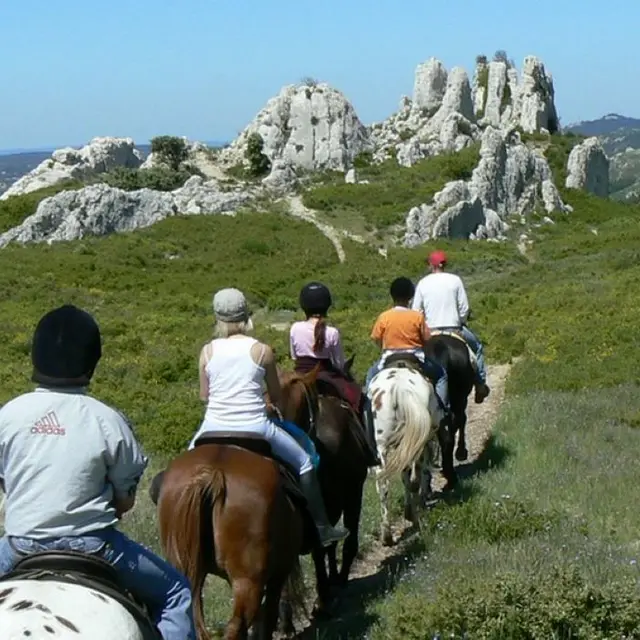 Balades à cheval Alpilles