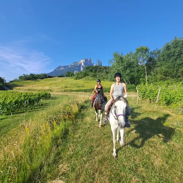 Initiation à la randonnée à cheval et découverte du vignoble savoyard en duo_Chapareillan