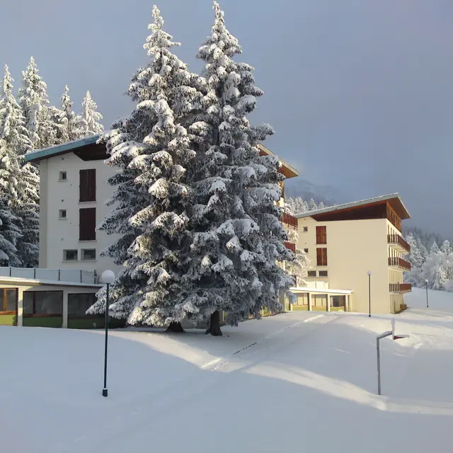 Centre de montagne de la ville de Montreuil_Le Collet