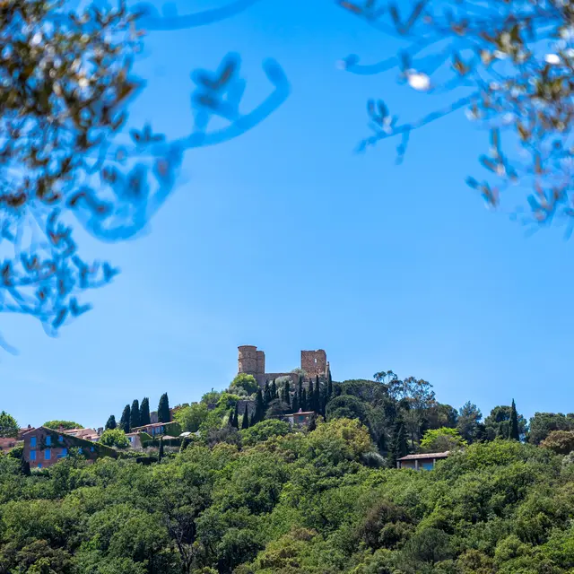 Grimaud