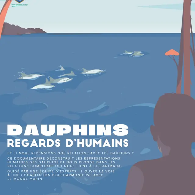 journée de la mer: projection du film Dauphins - Regards d'humains_La Croix-Valmer