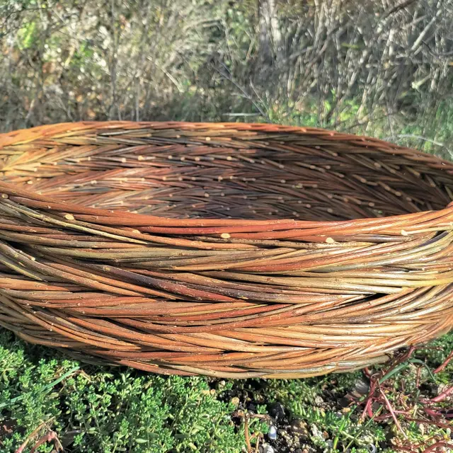Atelier de vannerie grande panière en torons au musée de la vannerie à Cadenet_Cadenet