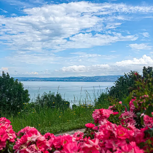 Au jardin des merveilles à Publier