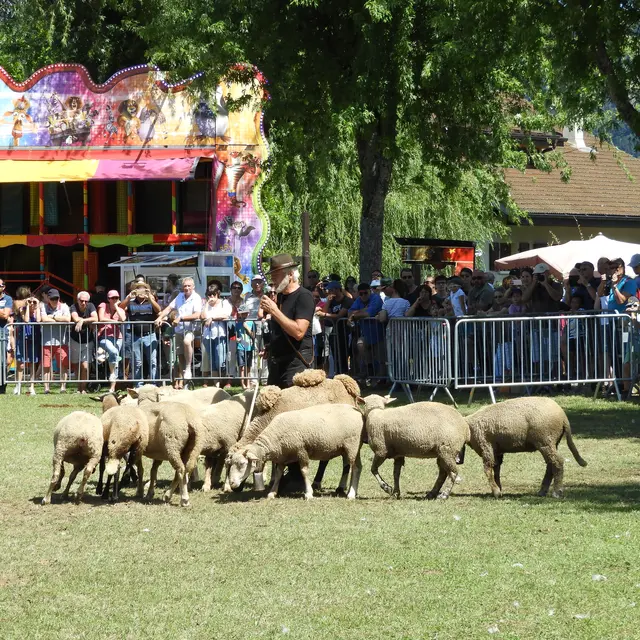 Foire de la St Laurent_Fillinges