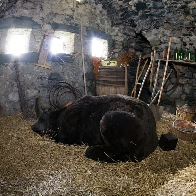 VIAPAC - Route de l'Art Contemporain