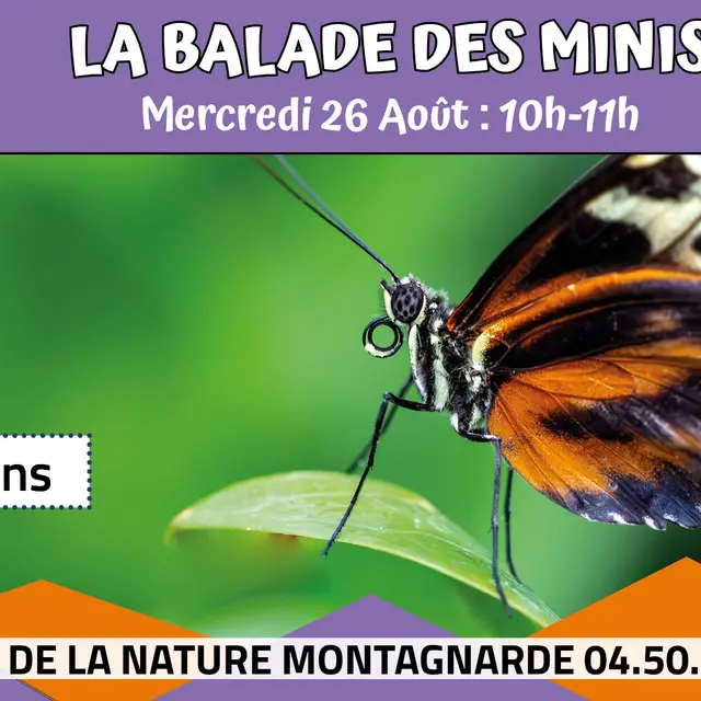 La balade des minis : Le mini papillon_Sallanches