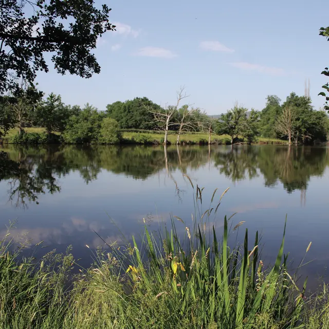 étangs vers Forêt de Lespinasse