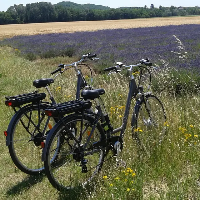 Location de vélos électriques