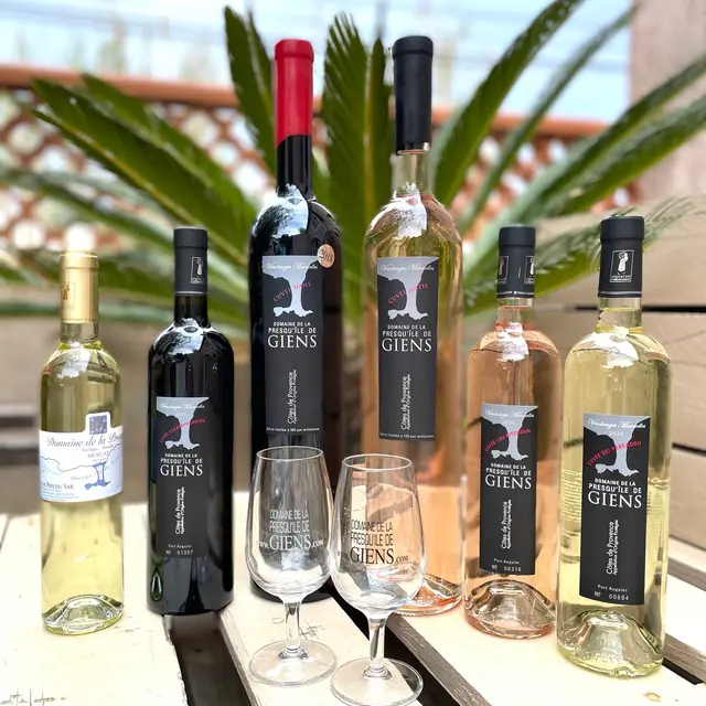 Vins