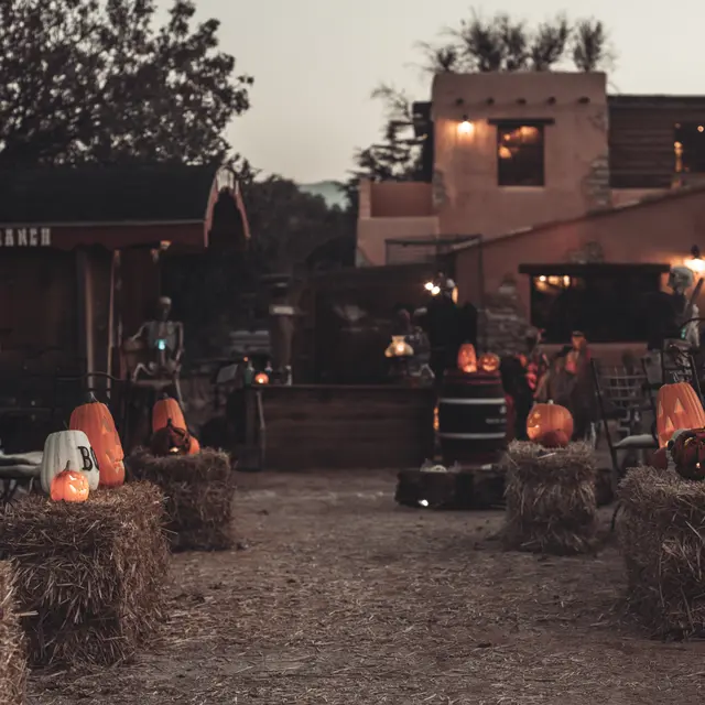 Halloween au Ranch de la Mène_Grimaud