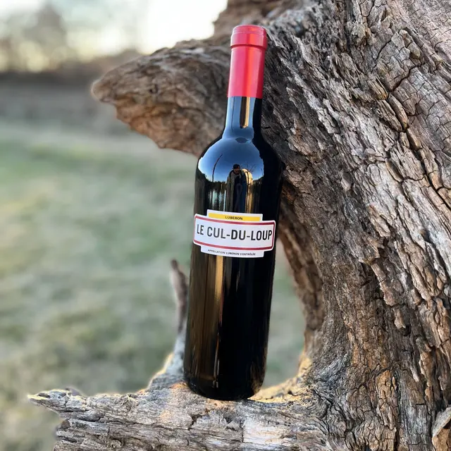 vin domaine Pied du Loup