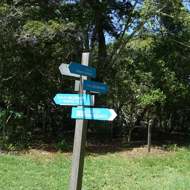 Sentier pédestre des Géants