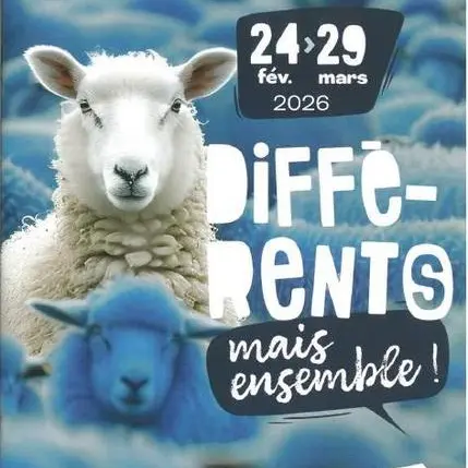 Ateliers créatifs - Différents mais ensemble_Romans-sur-Isère