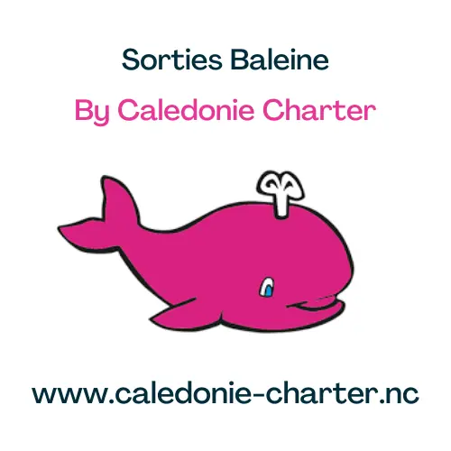 Calédonie Charter_Nouméa