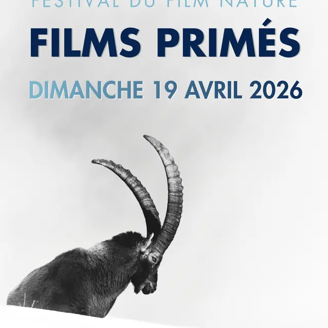 Séances Films Primés - Festival du Film Nature_Saint-Gervais-les-Bains