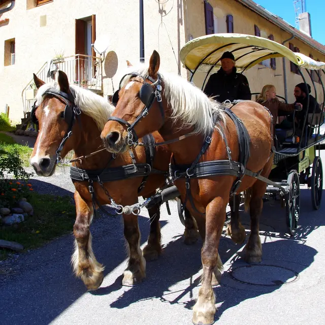 Promenade en calèche