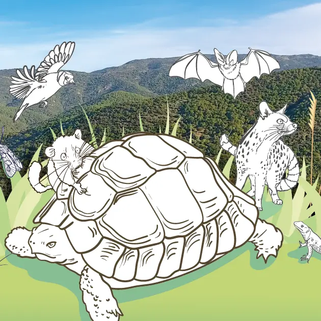 Réunion atlas de la biodiversité communale_Bormes-les-Mimosas
