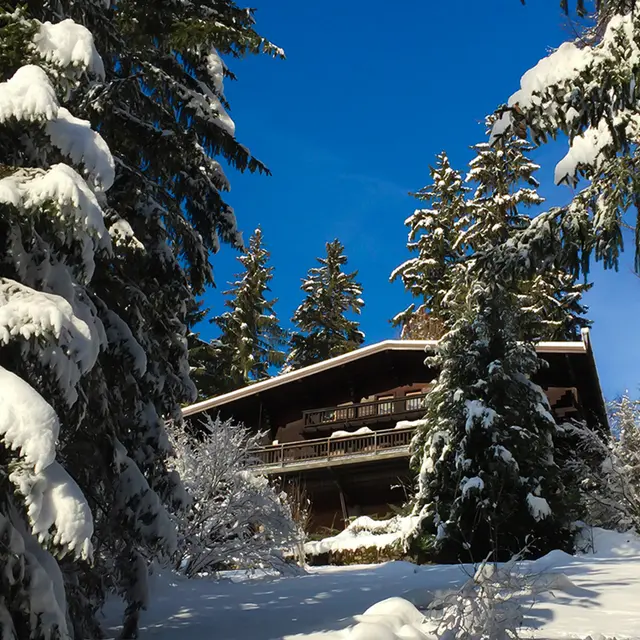 Chalet
