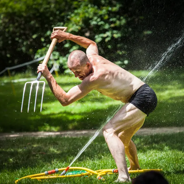 Entre serre et jardin