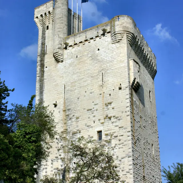 Visite libre de la tour Philippe-le-Bel_Villeneuve-lez-Avignon