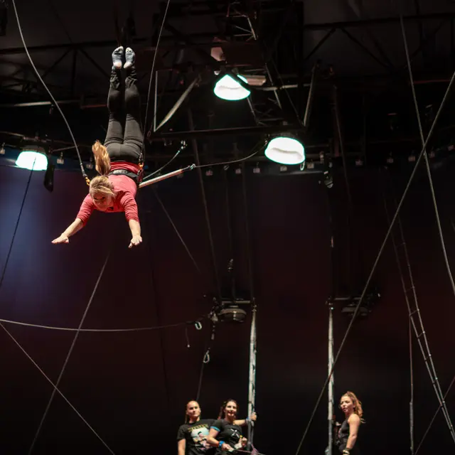Stage de Trapèze Volant (Ados-Adultes) - CIAM_Aix-en-Provence