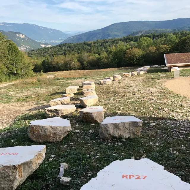 Dinoplagne®