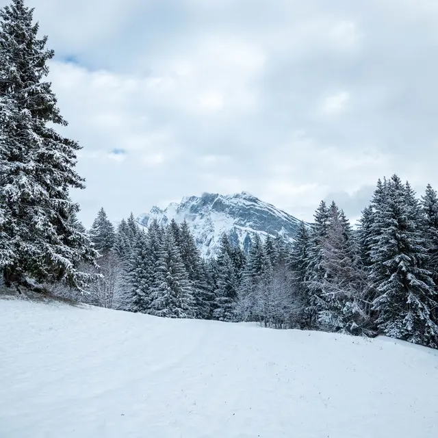 Itinéraire raquettes : Les Allamands_Samoëns