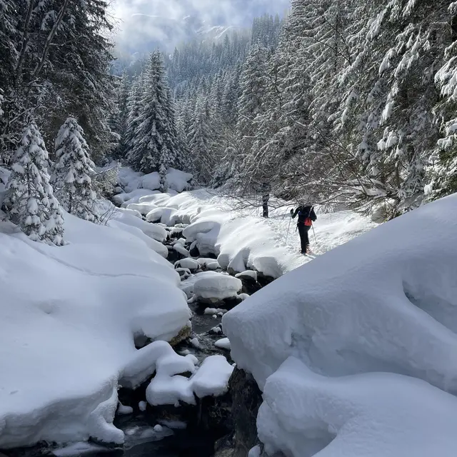 Sortie raquette et initiation DVA - Saint Gervais_Saint-Gervais-les-Bains