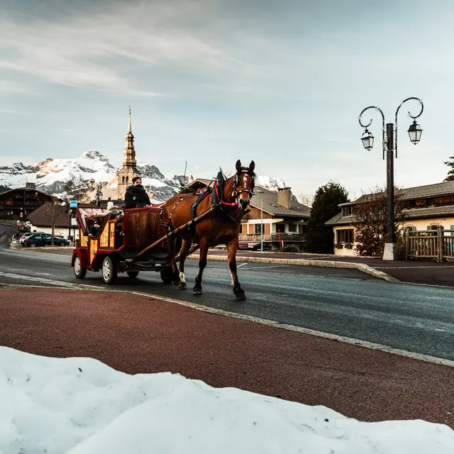 Promenades en Calèche