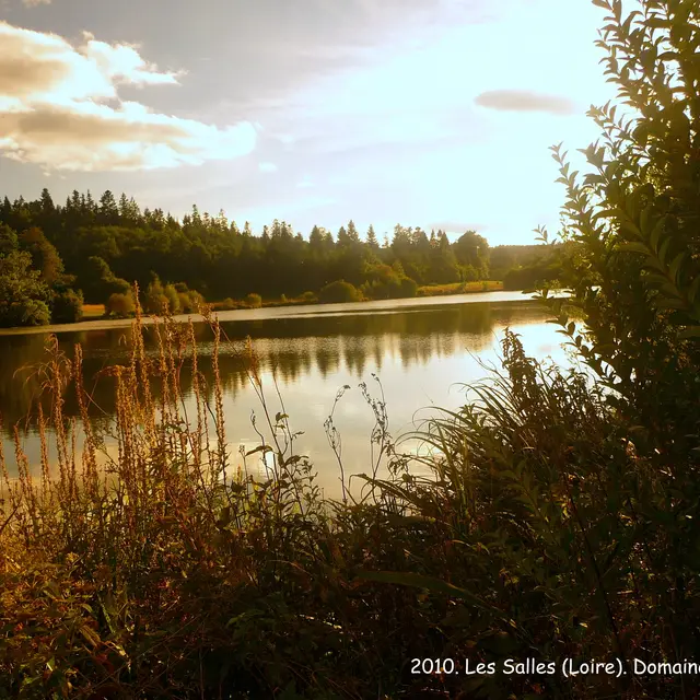 Etang de la Plagnette