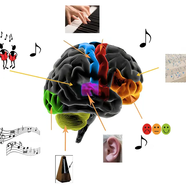 Conférence : Soigner en musique, mythe ou réalité ?