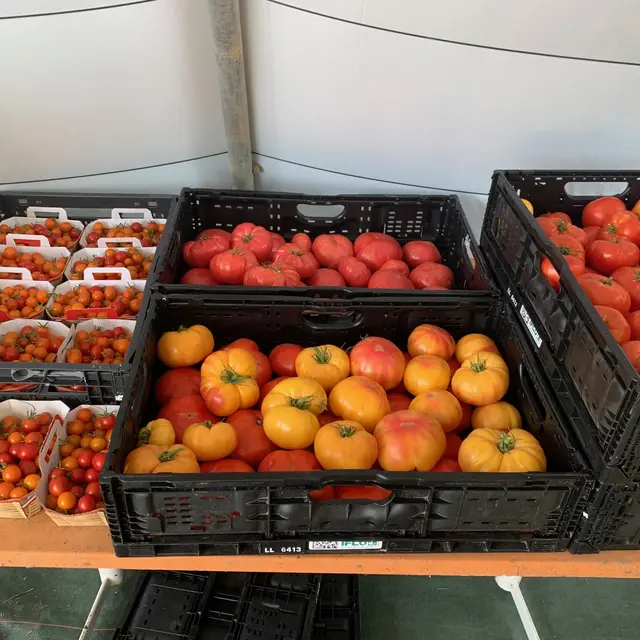 Le Jardin de Fabien_Roquebrune-sur-Argens